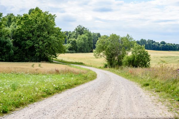 Stone Driveway Repair in Battle Ground